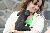 ADULTE ET CHIEN 415